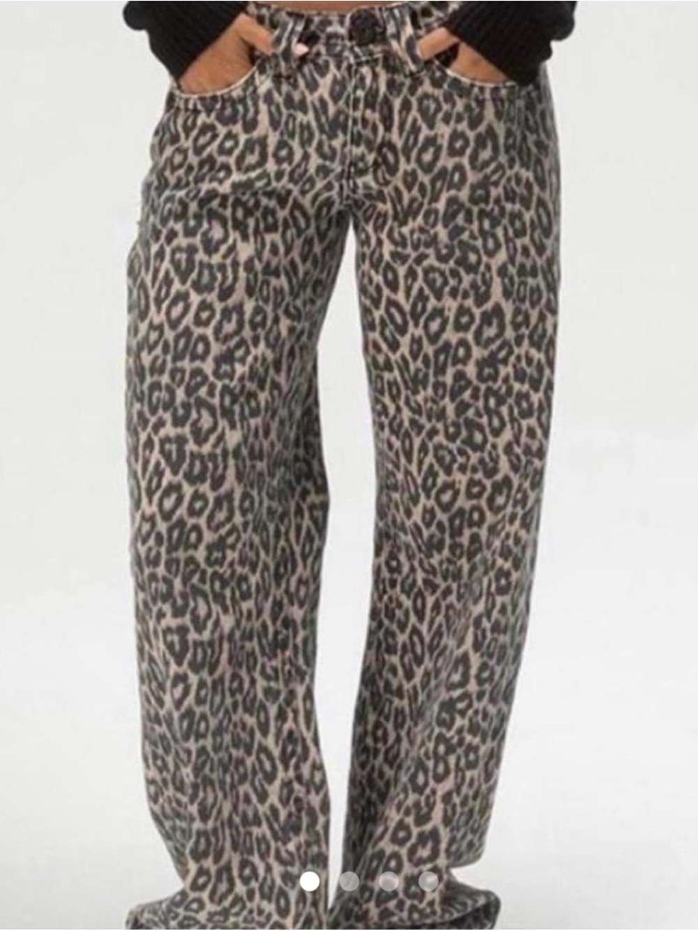 BDG Leopard-Print Wide Leg Boyfriend Kayla Jean. Urban Outfitters. SIZE 27W. NEW